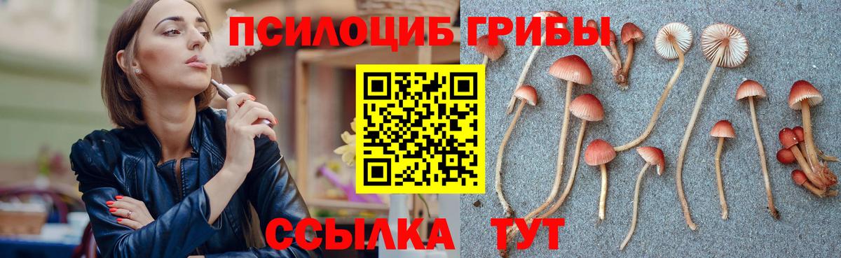 Каменск-Шахтинский  Галлюциногенные грибы мицелий  Вход с VPN 