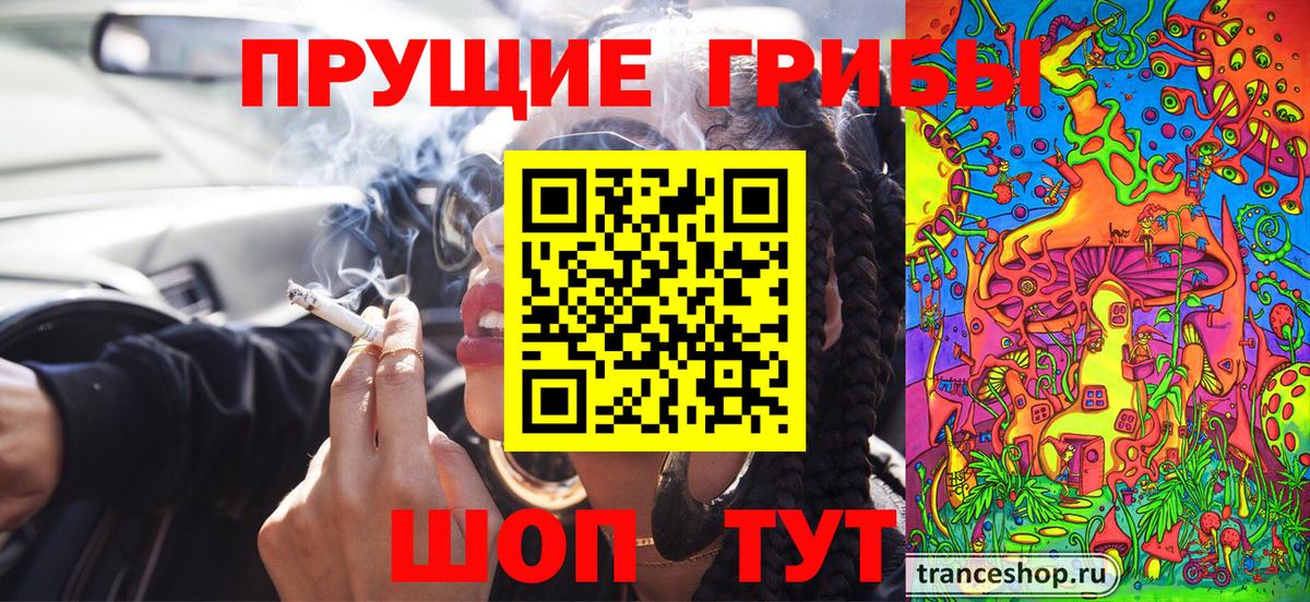Псилоцибиновые грибы прущие грибы Каменск-Шахтинский